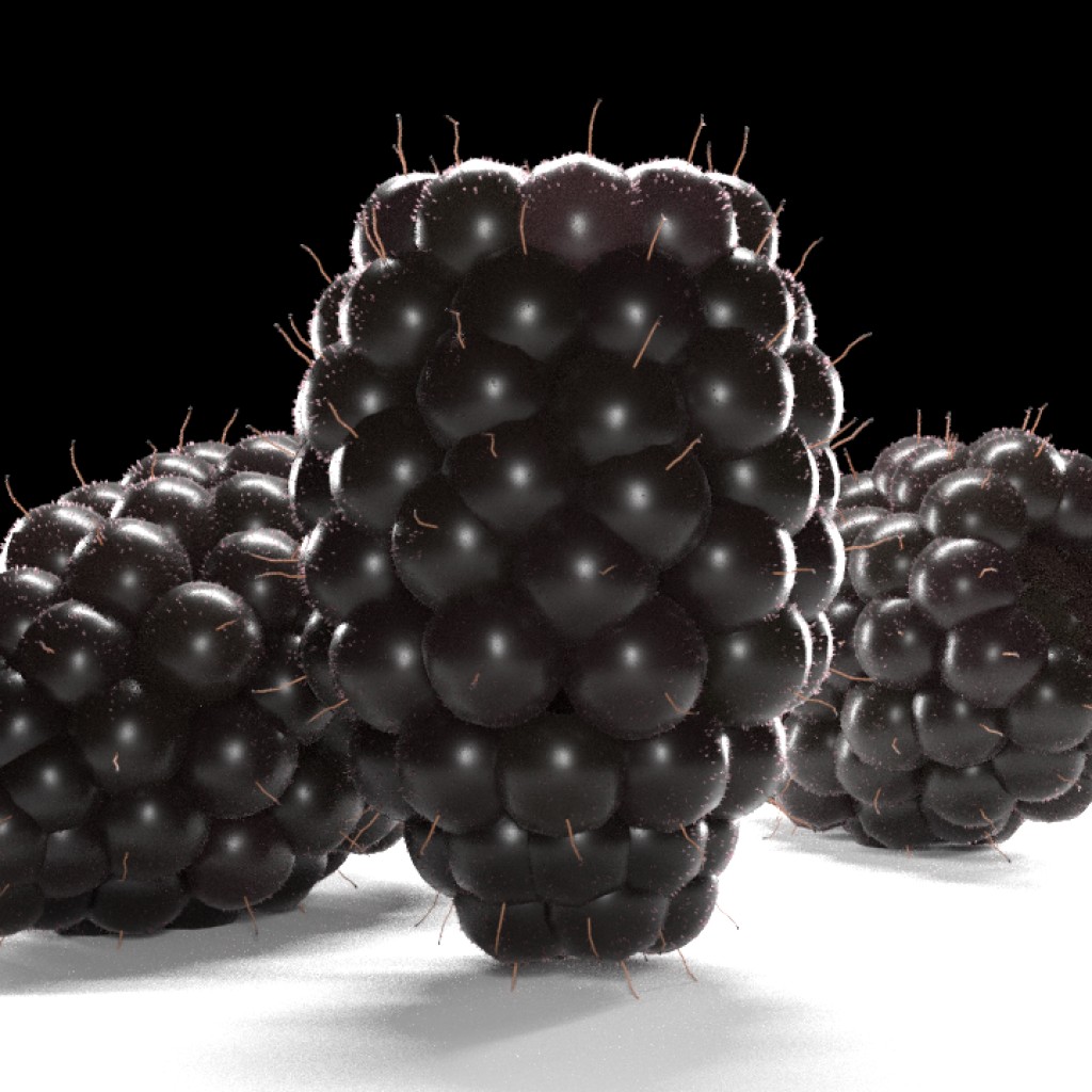 Blackberry Fruit preview image 1